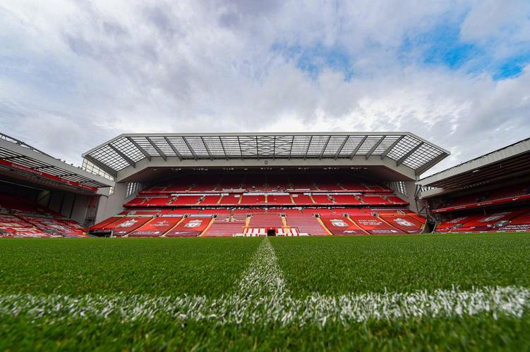 绫球好玩有讲究（玩转绫球有门道）